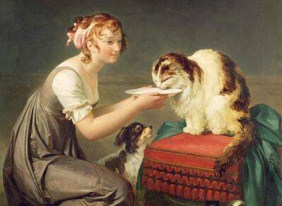 Для чего кошки и собаки присутствуют в классической живописи? - shkolazhizni.ru