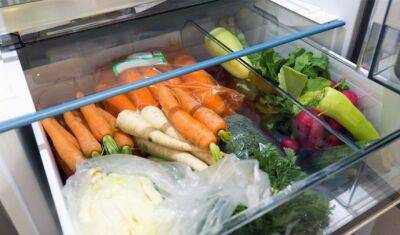 Секреты хранения моркови в холодильнике - polsov.com