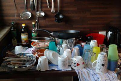 Елена Шимановская - Средство, которое за 5 минут отмоет гору жирной посуды, даже если горячую воду отключили - belnovosti.by
