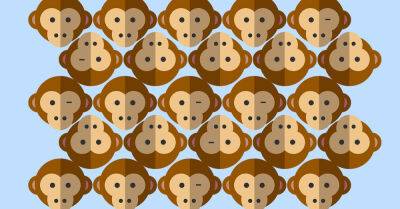 Взгляни на картинку и ответь, сколько обезьян флиртуют с тобой - takprosto.cc