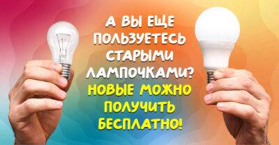 Владимир Зеленский - Украинцы смогут обменять старые лампочки на современные с 16 января - takprosto.cc - Украина