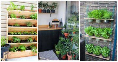 Если нет дачи, а посадить ароматные травы хочется: полезные идеи мини-огорода на балконе - cpykami.ru