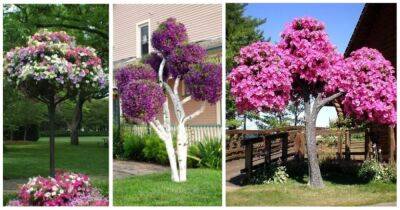 Дерево из петунии — необычный способ показать прекрасный цветок во всей красе - cpykami.ru