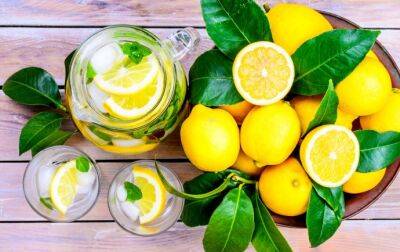 Вся правда о лимонах и кому они противопоказаны - polsov.com