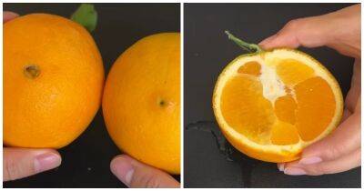 Главные отличительные признаки самых сочных и сладких апельсинов - cpykami.ru