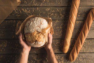 Как человечество придумало хлеб? Случайно и не сразу - shkolazhizni.ru - Иордания