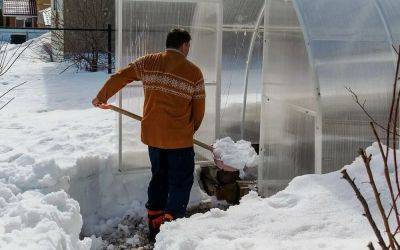 Нужен ли зимой снег в теплице: 3 простых аргумента «за» - nashsovetik.ru