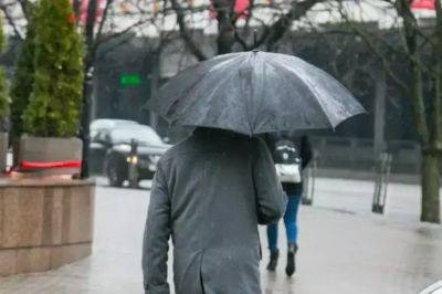 Что делать с зонтом с заржавевшими спицами: простое решение проблемы - belnovosti.by