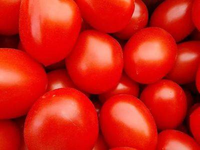 Как правильно выбрать томатный сок: только стеклянная, пластиковая или картонная тара - belnovosti.by