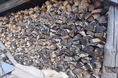 Какими дровами лучше не топить печь на даче: это вредно для всей конструкции - belnovosti.by