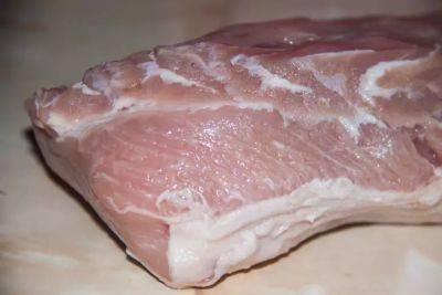 Как быстро разморозить мясо: элементарные способы без микроволновки - belnovosti.by