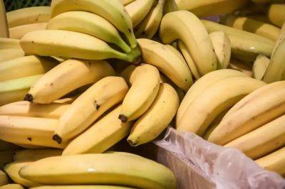 Как использовать банановые шкурки в быту: 5 полезных советов - belnovosti.by