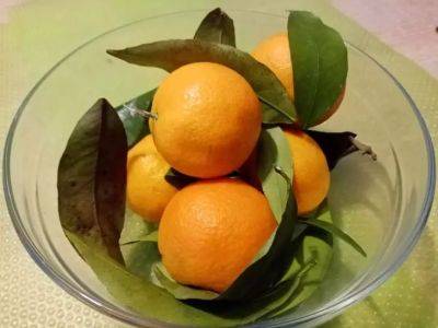 Как превратить кислые мандарины в сладкие: проще не бывает - belnovosti.by
