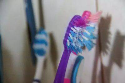 Как часто нужно менять зубную щётку: если этого не делать, может появиться неприятный запах изо рта - belnovosti.by