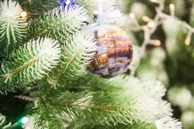 Что сделать с живой елкой, чтобы она простояла все новогодние праздники: ни иголочки не упадет - belnovosti.by