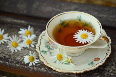 Екатерина II (Ii) - Какой чай выбрать для здорового питания? - shkolazhizni.ru - Юар - Китай - Япония - Индия