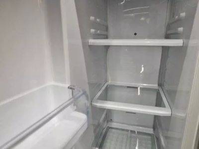 Даже старый холодильник станет издавать приятный аромат после такой чистки: проверенный способ - belnovosti.by