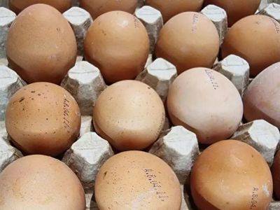 Сколько можно хранить яйца и как продлить их срок годности: советы опытной хозяйки - belnovosti.by