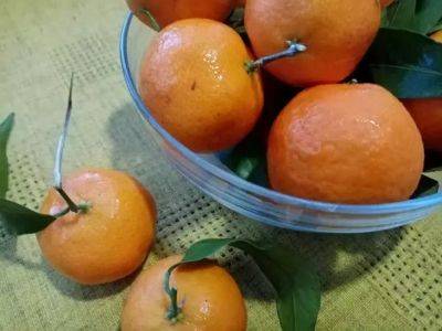 Как сделать кислые мандарины сладкими: метод без микроволновки - belnovosti.by