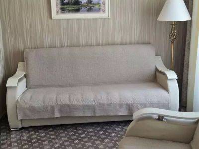 Как отмыть засаленный диван: необязательно заказывать профессиональную чистку - belnovosti.by