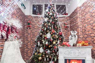 Где в квартире нельзя ставить елку: новогоднее дерево не простоит долго – 4 полезных совета - belnovosti.by