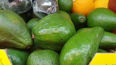 Как сохранить половинку авокадо: простой лайфхак – не потемнеет и не испортится - belnovosti.by
