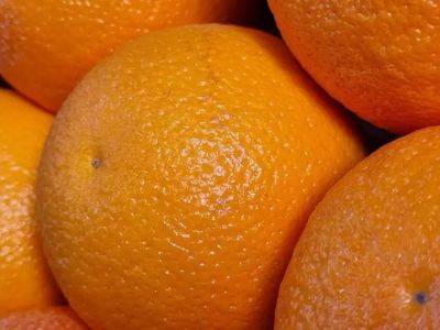 Почему не стоит выбрасывать апельсиновые корки: необычный вариант применения - опытные хозяйки оценят - belnovosti.by