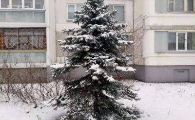 Как утеплить окна зимой: есть 4 надёжных способа - belnovosti.by