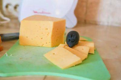 Как сохранить свежесть сыра: не пользуйтесь пищевой плёнкой - belnovosti.by