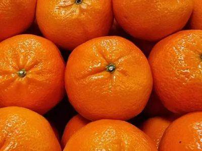 Как правильно хранить мандарины дома, чтобы они долго оставались вкусными и сочными: полезные советы - belnovosti.by
