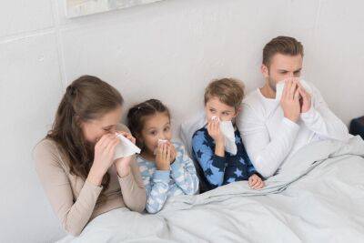 Почему эпидемии гриппа начинаются и почему заканчиваются? - shkolazhizni.ru