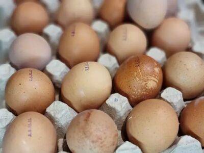 Как распознать протухшие яйца: это лучше сделать еще в магазине - belnovosti.by