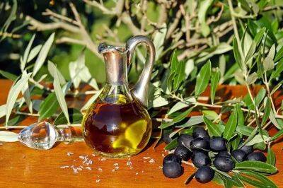 От оливкового масла не будет пользы, если хранить его так: распространенные ошибки - belnovosti.by