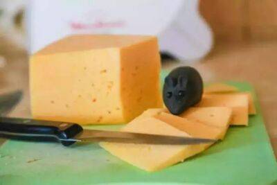 Сыр: как и в чем стоит хранить этот продукт, чтобы он дольше оставался свежим и вкусным - belnovosti.by