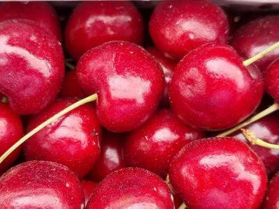 Не выбрасывайте вишневые косточки: хозяйки давно нашли им интересное применение - belnovosti.by