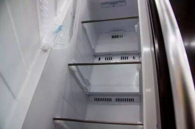 Как мыть холодильник, чтобы делать это как можно реже: экономия времени и сил - belnovosti.by