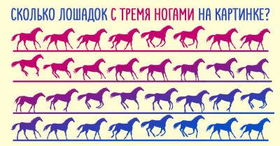 Сколько лошадей с тремя ногами изобразил хмельной дизайнер - takprosto.cc