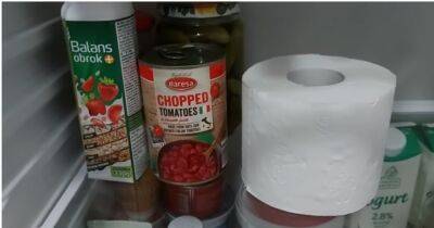 Просто положите рулон туалетной бумаги в холодильник и избавьтесь от большой проблемы - cpykami.ru