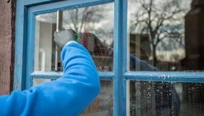 Почему нельзя брызгать средства для мытья окон сразу на стекло: лучше отказаться от этой привычки - belnovosti.by