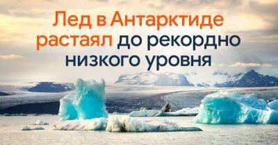 Эксперты предупредили о катастрофических последствиях таяния «Ледника судного дня» - takprosto.cc - Антарктида
