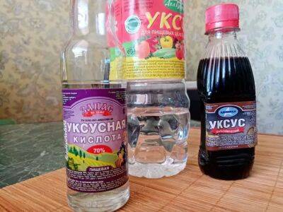 Как избавиться от мошек на кухне: народные средства, которые действительно работают - belnovosti.by