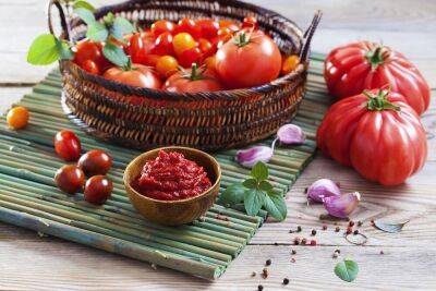 Какие салаты можно приготовить из томатов? - shkolazhizni.ru