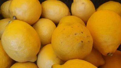 Как с помощью лимона вернуть вещам белый цвет: опытные хозяйки раскрыли секрет - belnovosti.by
