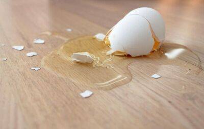 Что делать, если разбил яйцо на полу: 2 способа его легко убрать - nashsovetik.ru