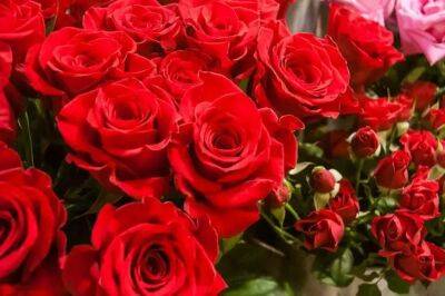 Как сохранить срезанные розы в вазе надолго: что добавить в воду, чтобы продлить им жизнь - belnovosti.by