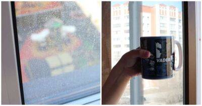 Мою окна заваркой: чисто так, как будто они отсутствуют в раме. Идеальная чистота - cpykami.ru