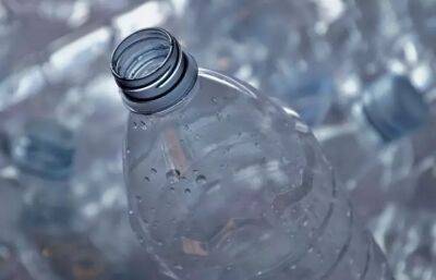 Антон Курчев - Как сделать простейшую ловушку для комаров: понадобится пластиковая бутылка - belnovosti.by