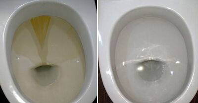 Старательная хозяйка поделилась рецептом средства для чистки туалета, в унитазе теперь можно рассмотреть отражение - takprosto.cc