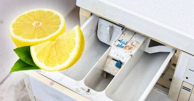 Когда вижу, что чистота стиральной машины оставляет желать лучшего, отправляю туда лимон, самое сильное средство - takprosto.cc