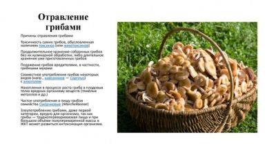 Отравление грибами: симптомы, первая помощь - polsov.com